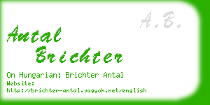 antal brichter business card